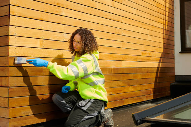 Best Siding Painting and Refinishing  in Woodbine, IA